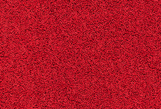 Rot